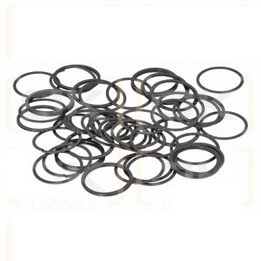 Slika F11-110 - Prsten za klip (ring of piston)
