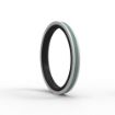 Slika K19/55x41x9