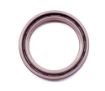 Slika SEM.20x30x8 DC/VITON DUPLI