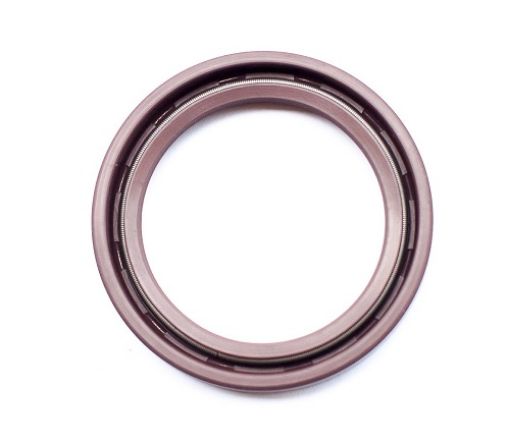 Slika SEM.20x30x8 DC/VITON DUPLI