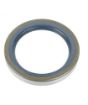 Slika SEM.57x85x12  CORTECO