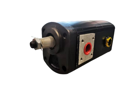 Slika 1PN/1PN/012 - Dupla zupčasta pumpa