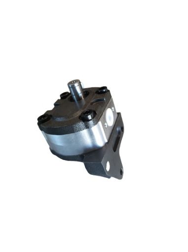 Slika FIAT 311547576 - Hidraulična zupčasta pumpa (pomoćna)