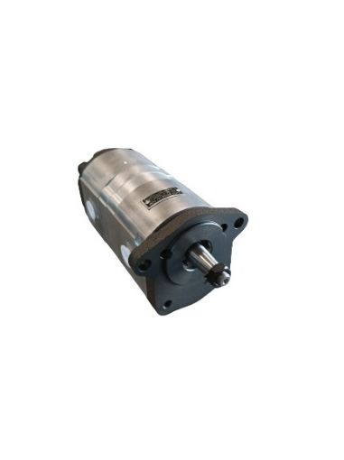 Slika RENAULT 770013742 -  Hidraulična zupčasta pumpa