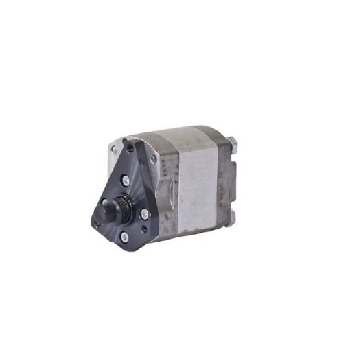 Slika MF 7006490M91 - Krilna pumpa