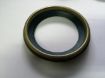 Slika SEM.77x98,4x6,3/19,3-S1Y SUPER