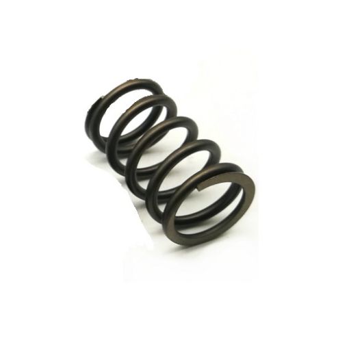Slika A10VD71 - Opruga zavojnice (Coil spring)